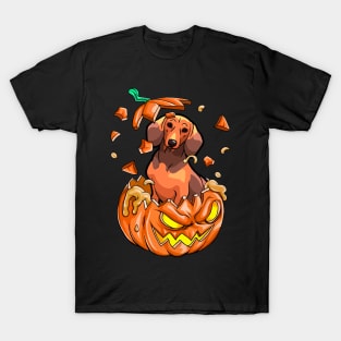 Dachshund In The Pumpkin tshirt halloween costume funny gift t-shirt T-Shirt